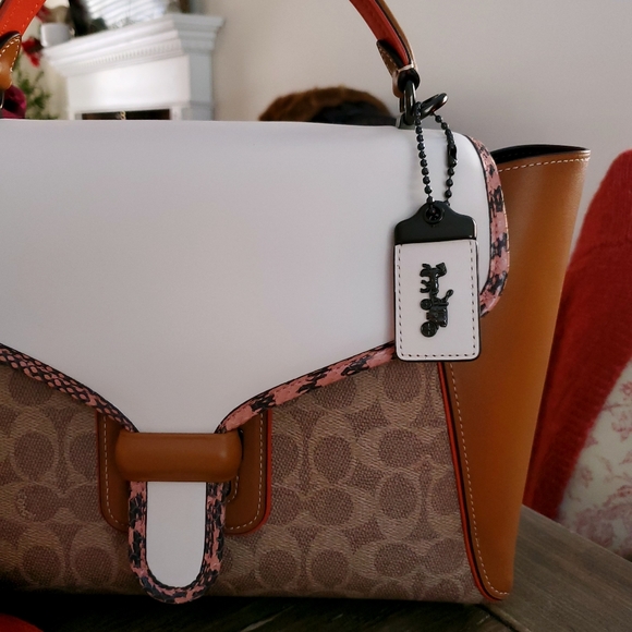 LAST CHANCE❗RARE Coach Courier Colorblock Genuine Snakeskin Crossbody - Picture 10 of 16
